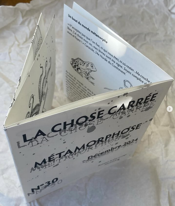 La Chose Carrée 30