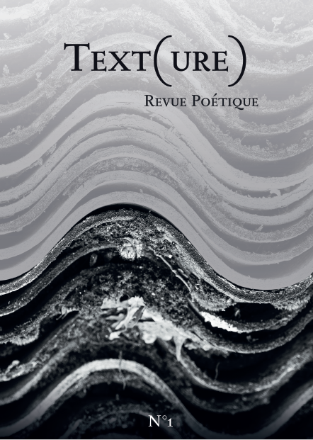 Revue Texture n°1